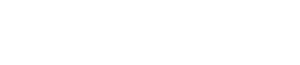BESARWIN